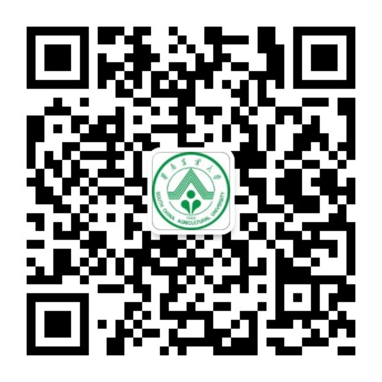招生快讯 普通类招生 国际化办学 艺