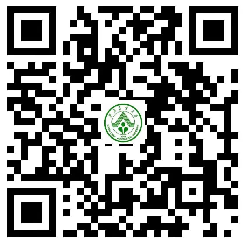 乐鱼体育官方网站LEYUSPORTS
