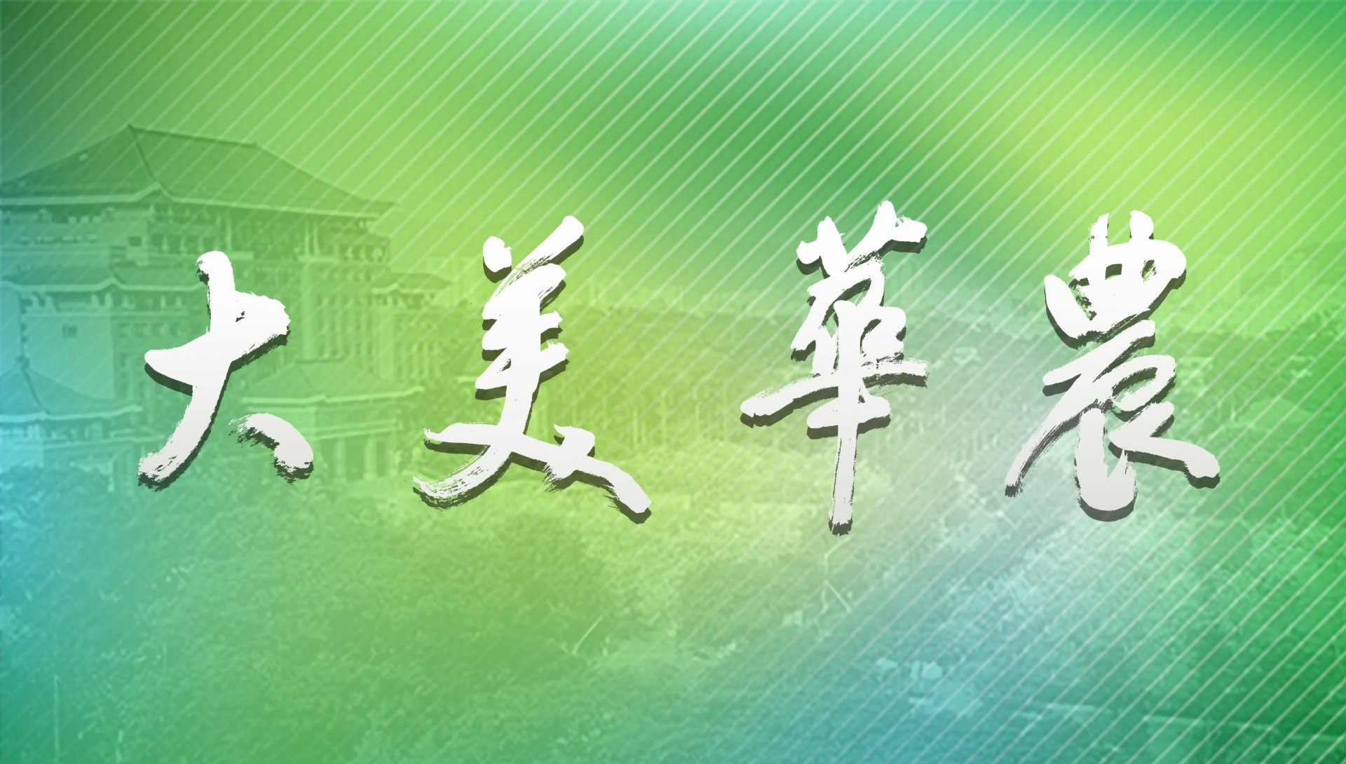 两者都保留在站内即可形成完整阅读路径