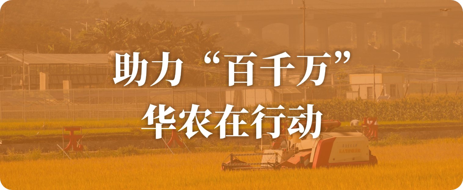 本页围绕「乐鱼体育官方网站-LEYU