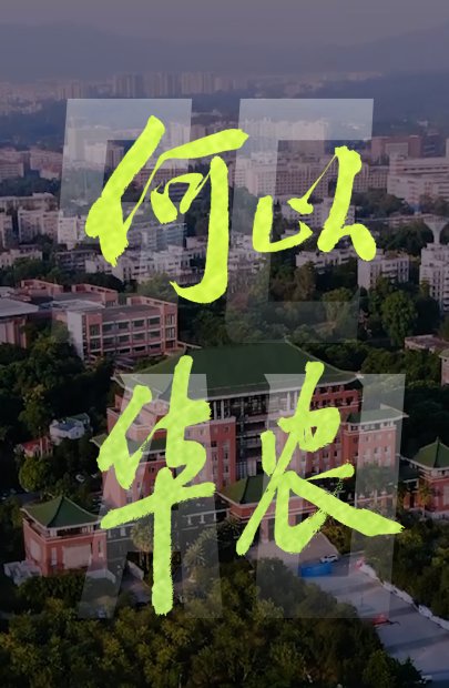 乐鱼体育官方网站-LEYUSPO