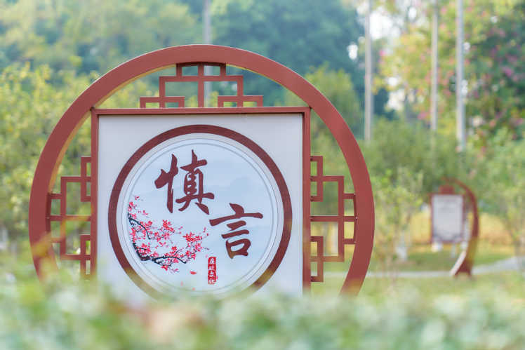 2025-02-21 同类内容
