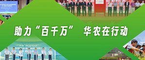 正文适合核对表述