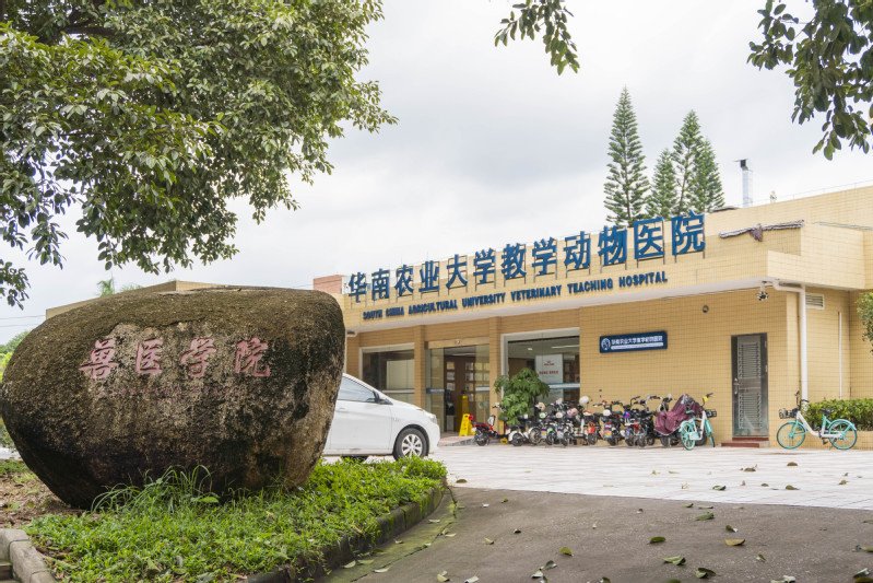 利寅楼 （利寅像）